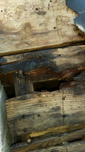Rotted Wood Decking